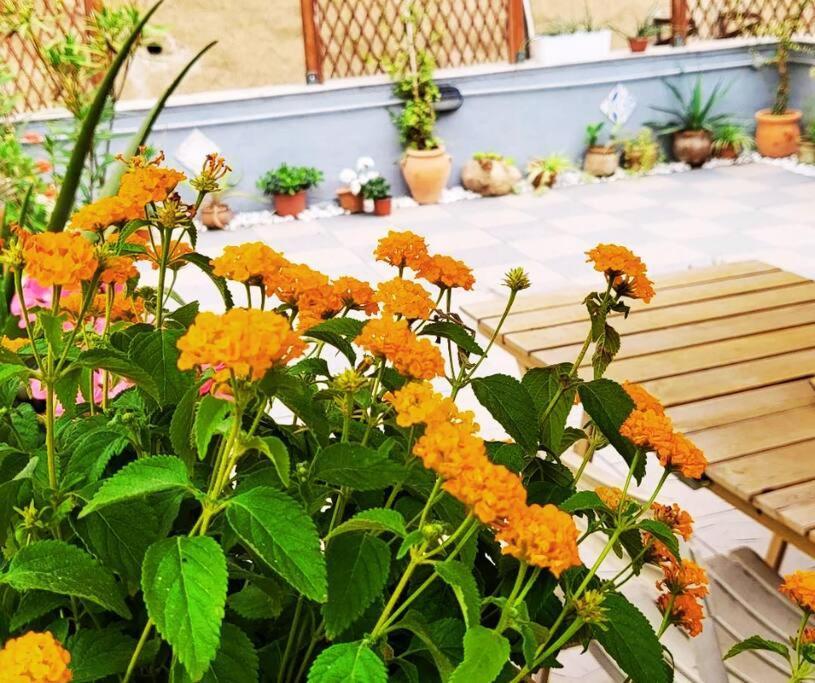 Casetta Poli- Appartamento Con Terrazza - Centro Storico ปาแลร์โม ภายนอก รูปภาพ